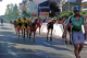 DSC_0151_bearbeitet